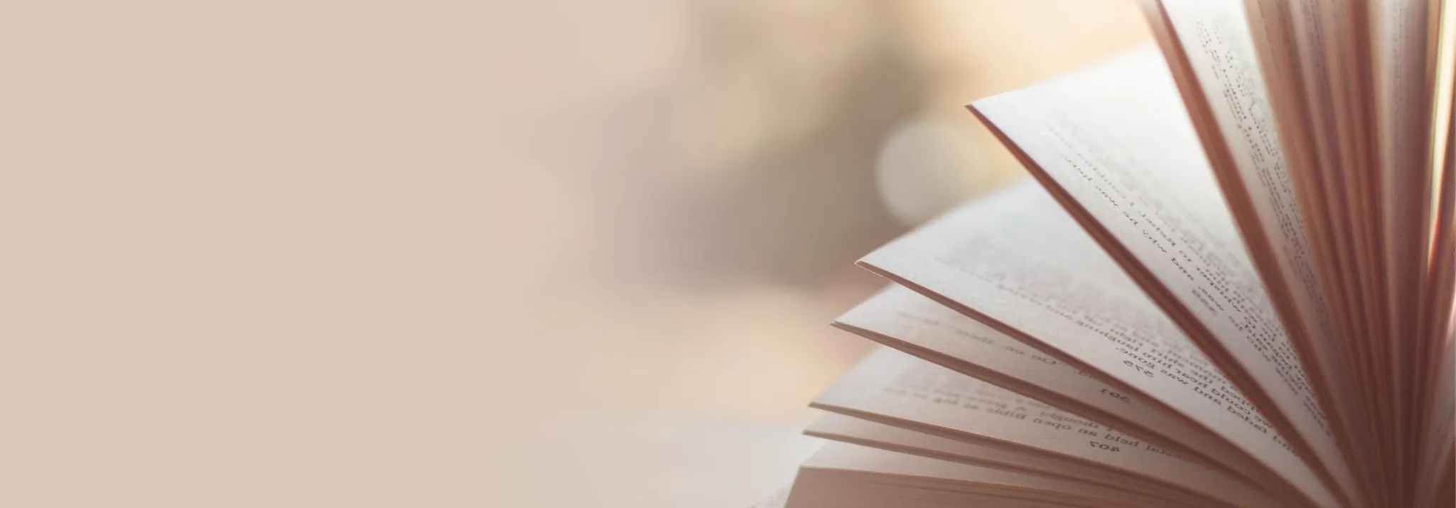 Aufgeschlagenes Buch mit fächerartig aufgeblätterten Seiten, im warmen Licht